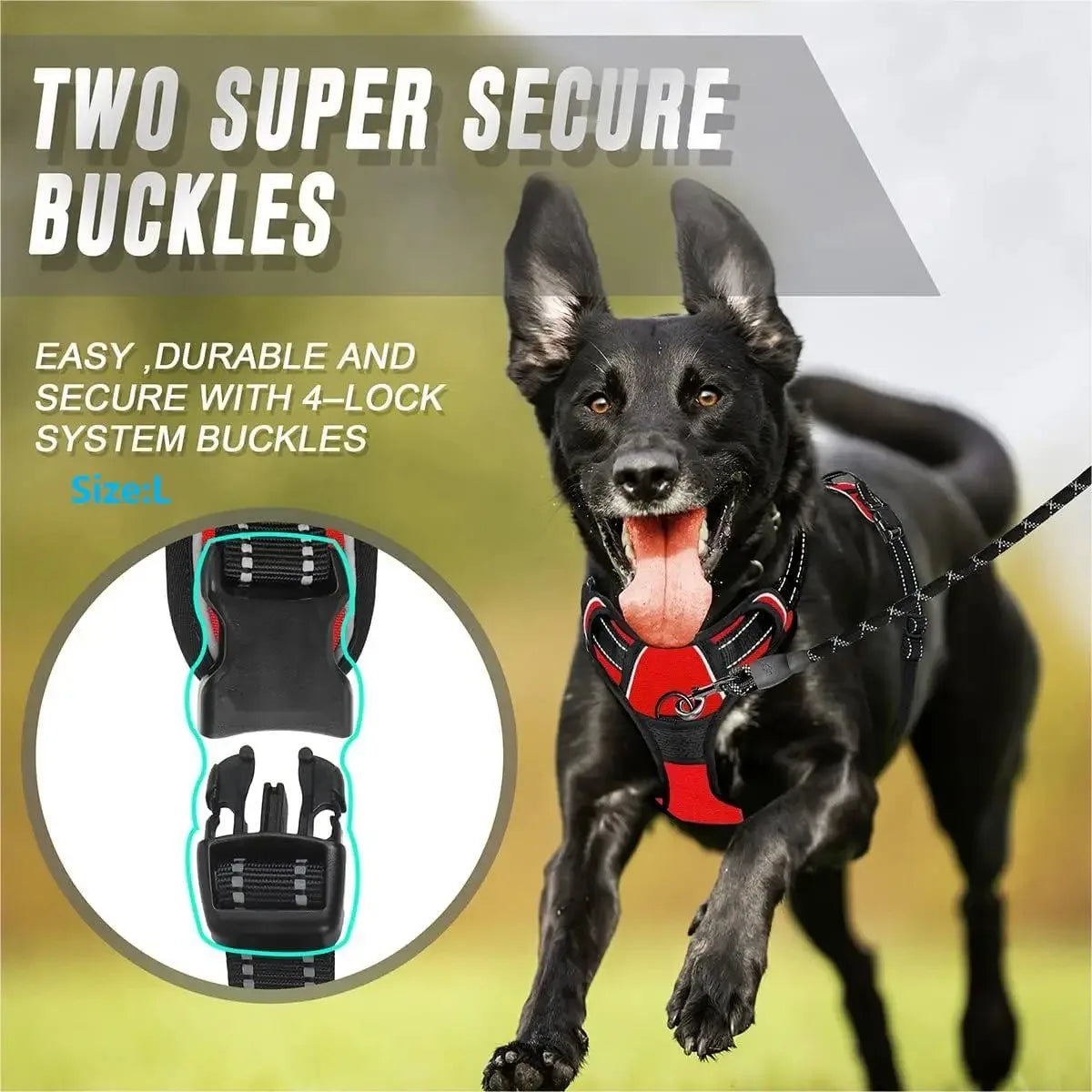 Collares para perros, arneses, chalecos grandes, correas, tienda de mascotas, todo para perros, cuero, accesorios para cachorros, conjunto para medianos y pequeños