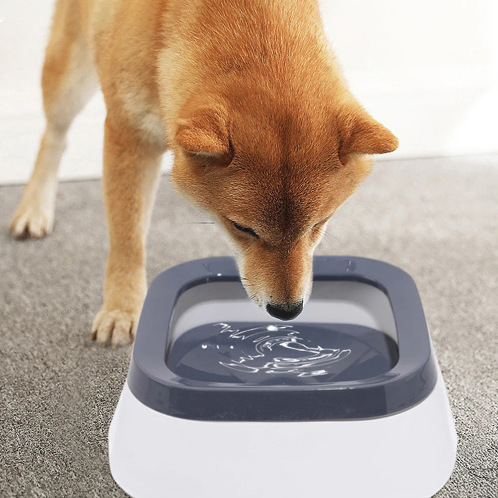 Splash-Reducing Water Bowl for Cats & Dogs